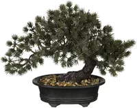 KUNSTTAIM MICA DECORATIONS BONSAI POTIS 28X15X23CM