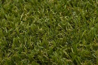 TERRASSIKATE TURFGRASS 2M ALVA OLIVE