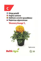 SEEMNED BALTIC AGRO PEIULILL 'DISCOVERY ORANGE' F1, ORANŽ KERA, 30S