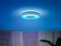 LAELAMP PHILIPS HUE INFUSE M 33,5W 2350LM 2000-6500K+RGB HUE VALGE