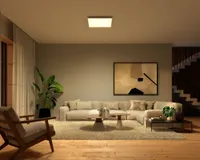 PANEELVALGUSTI PHILIPS HUE SURIMU 60W 4200LM 200-6500K+RGB HUE RUUT