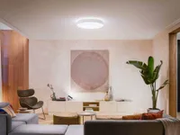 LAELAMP PHILIPS HUE ENRAVE XL 48W 6100LM 2200-6500K HUE VALGE