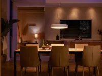 LAELAMP PHILIPS HUE ENRAVE 33,5W 4300LM 2200-6500K HUE VALGE