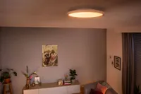 PANEELVALGUSTI PHILIPS HUE AURELLE RD 21W 2450LM 2200-6500K HUE