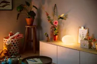 LAUALAMP PHILIPS HUE FLOURISH 9.5W 200-6500K+RGB HUE