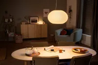 LAELAMP PHILIPS HUE FLOURISH 31W 200-6500K HUE