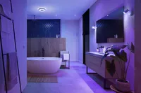 VANNITOAVALGUSTI PHILIPS HUE XAMENTO M 33,5W 2200-6500K+RGB IP44 HUE