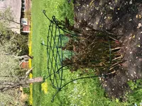 POJENGI- JA ROOSITUGI HANSANOVA KELLUKE