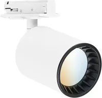 SIINIVALGUSTI LEDVANCE OSAKA 8W 500LM WIFI VALGE