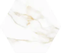 PÕRANDA-JA SEINAPLAAT PRISSMACER MT PAONAZZO GOLD MATT 20X24CM