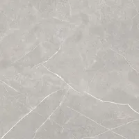 PÕRANDAPLAAT NAVARTI STATUS PERLA 60X60CM