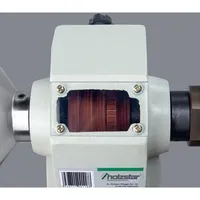 PUIDUTREIPINK HOLZSTAR 230V 50HZ