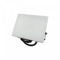 PROŽEKTOR ECOLIGHT NL-2 30W LED 4000K 2700LM