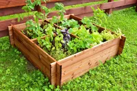 TAIMELAVA INPUIT NELJA JAOTUSEGA