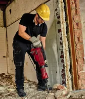 PIIKVASAR EINHELL TC-DH 43