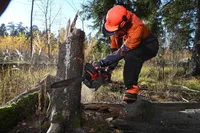 MOOTORSAAG DAEWOO DACS 4500 2,7HP 40CM/16''