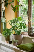 ÜMBRISPOTT MICA TUSCA MATT MUST 18,5X19,5CM