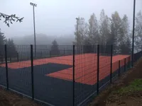 AIA KEEVISPANEEL 2D 50X200/6/5/6MM 1,23X2,5M RAL7016