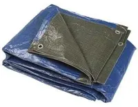 KOORMAKATE 2X3M SININE/ROHELINE 110G/M²