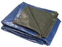 KOORMAKATE 3X5M SININE/ROHELINE 110G/M²