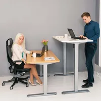 LAUAJALG ERGO 1 MOOTORIGA HÕBEHALL