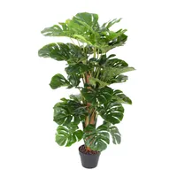 KUNSTPUU MONSTERA H105CM