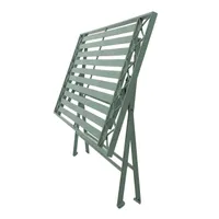 DIIVANILAUD MINT 100X50XH49CM ANTIIKROHELINE