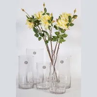 VAAS IN HOME D12XH30CM LÄBIPAISTEV