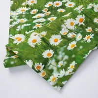 LINIK HOLLY 43X116CM KARIKAKRAD