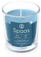 LÕHNASTATUD KÜÜNAL SPAAS KLAASIS 25H LAVENDEL-APELSINIÕIS