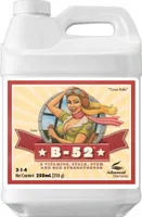 TAIMETUGEVDUSAINE ADVANCED NUTRIENTS B-52 250ML
