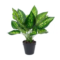 KUNSTTAIM DIEFFENBACHIA H45CM