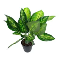 KUNSTTAIM DIEFFENBACHIA H45CM