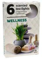 LÕHNASTATUD TEEKÜÜNAL ADMIT 4H HEAOLU 6TK