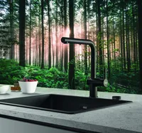 KÖÖGISEGISTI FRANKE ACTIVE MATT MUST