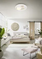 LAEVALGUSTI TRIO PEBBLE LED 2700-6500K MATT VALGE/HALL