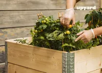 PEENRAKAST UPYARD ECO NATURAAL 120X80CM