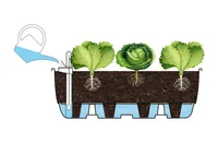 KASVULAVA UPYARD SUUR 55X37CM