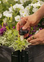 KASVULAVA UPYARD VÄIKE 37X26CM