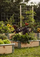 METALLIST VÕRE UPYARD 110X70CM