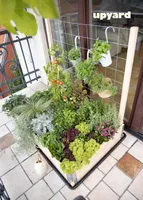 KINNITUS KASVULAVALE UPYARD, NATURAALNE