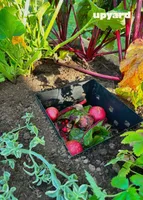 KOMPOSTER UPYARD METALLIST PEENRAKASTI JAOKS 25L