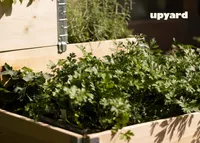 TAIMELAVA UPYARD 60X40CM NATURAALNE