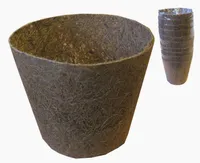 ISTIKUPOTID SOTKA COCO 10CM 10TK