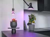 LED TAIMELAMP OSRAM R63 7,5W 230V E27