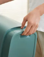 TOIDUKAST LEMMIKLOOMATOIDULE CODY KÜHVILGA ROHELINE 50L