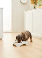 LEMMIKLOOMA SÖÖGIKAUSS SALLY 2-OSALINE