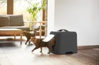 LIIVAKAST BIALA KASSIDELE MUST