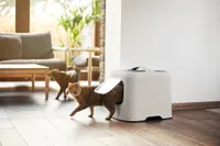 LIIVAKAST BIALA KASSIDELE BEEŽ