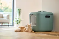 LIIVAKAST BIALA KASSIDELE ROHELINE